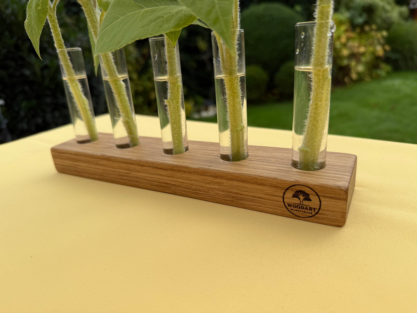 Blumenvase mit Reagenzgläsern in Eiche