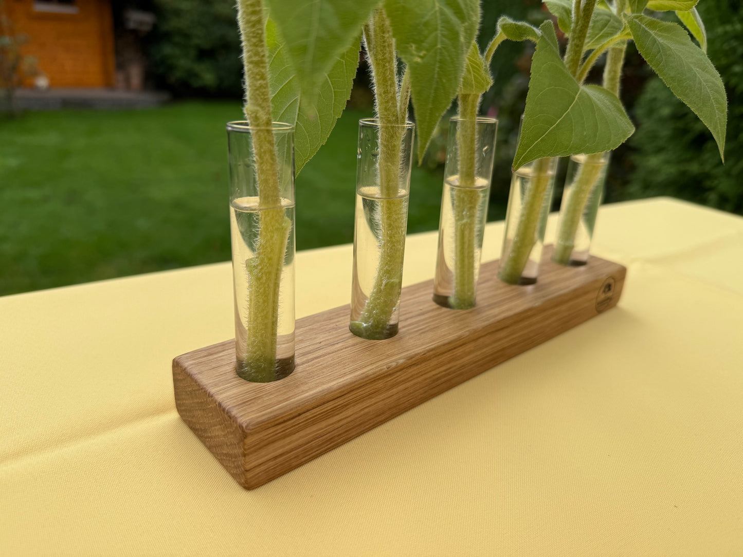 Blumenvase mit Reagenzgläsern in Eiche