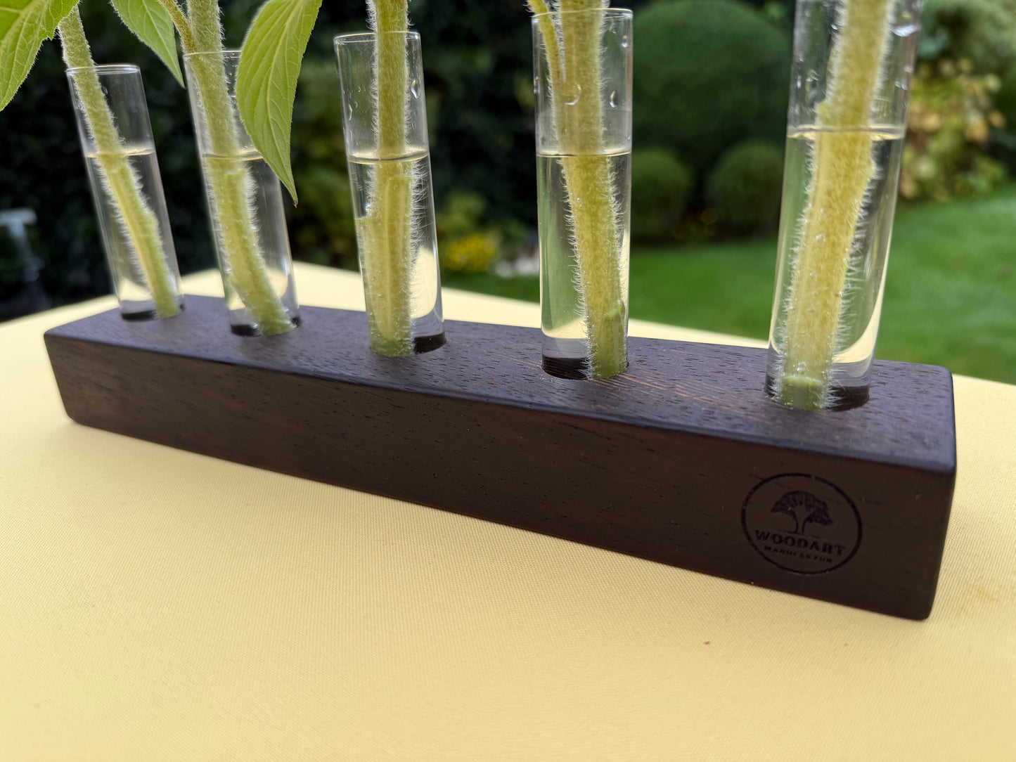 Blumenvase mit Reagenzgläsern in Wenge