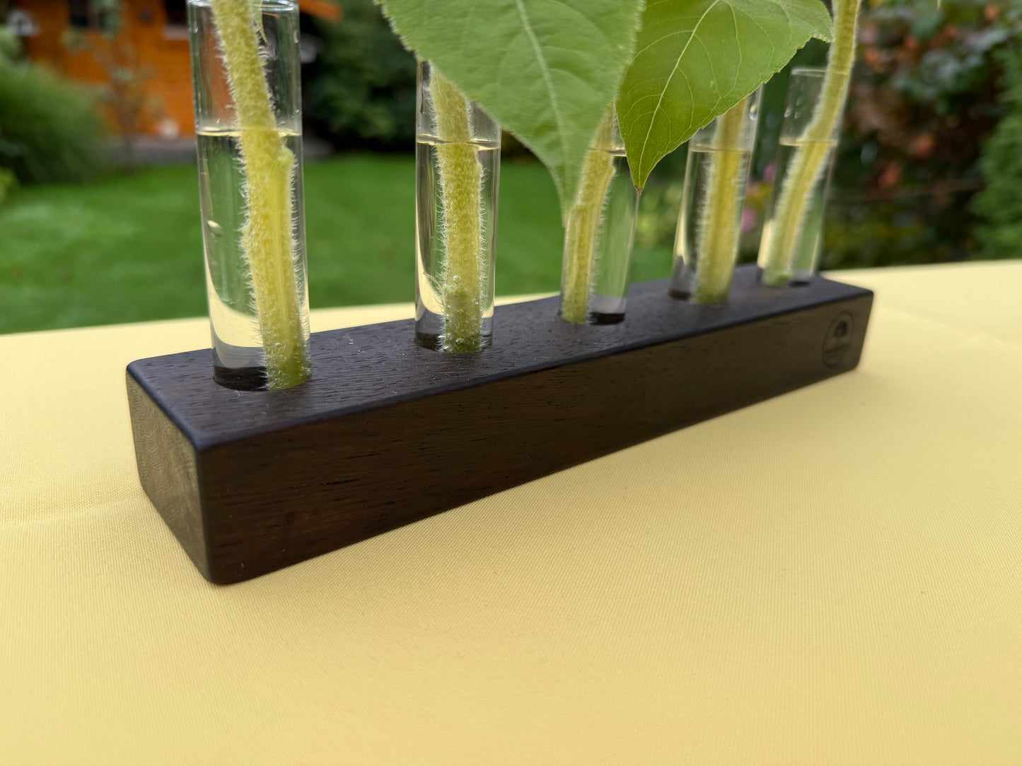 Blumenvase mit Reagenzgläsern in Wenge