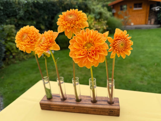 Blumenvase mit Reagenzgläsern in Zebrano