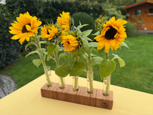 Blumenvase mit Reagenzgläsern in Schichtbuche quer ( unikat )