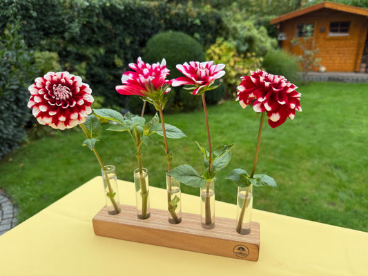 Blumenvase mit Reagenzgläsern in Schichtbuche
