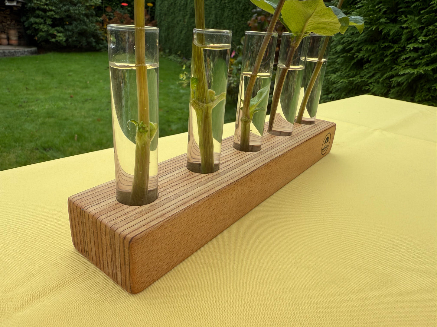Blumenvase mit Reagenzgläsern in Schichtbuche
