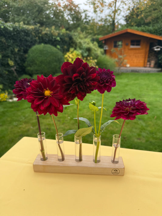 Blumenvase mit Reagenzgläsern in Buche