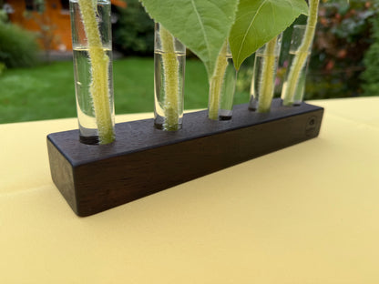 Blumenvase mit Reagenzgläsern in Wenge