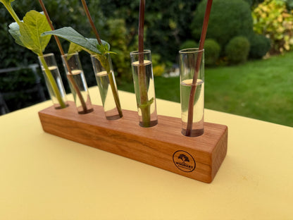 Blumenvase mit Reagenzgläsern in Rosenholz